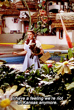 dorothy